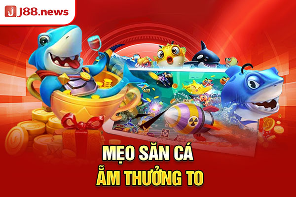 Mẹo săn cá ẵm thưởng to